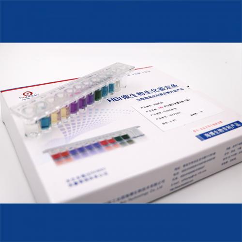 HBIO157菌生化鉴定条（GB）   5条/盒