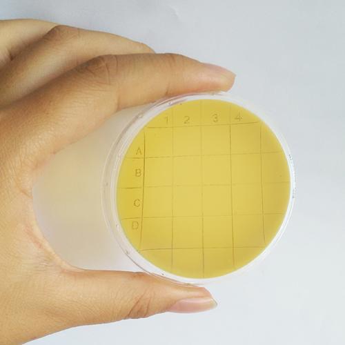 含青霉素酶的TSA表面接触皿（55mm）...