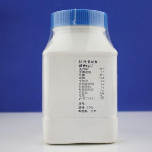 胆硫乳琼脂（DHL）   250g