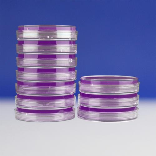 结晶紫中性红胆盐琼脂平板（9cm）   10个/包