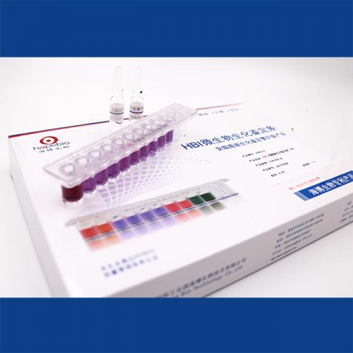 HBI乳酸菌生化鉴定条(GB)    5条/盒