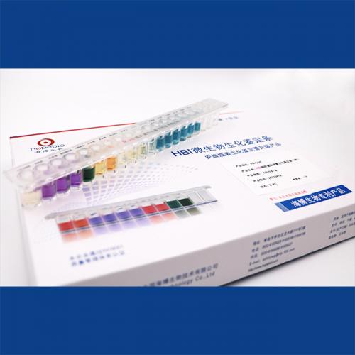 HBI肠杆菌科细菌生化鉴定条(GB)    5条/盒